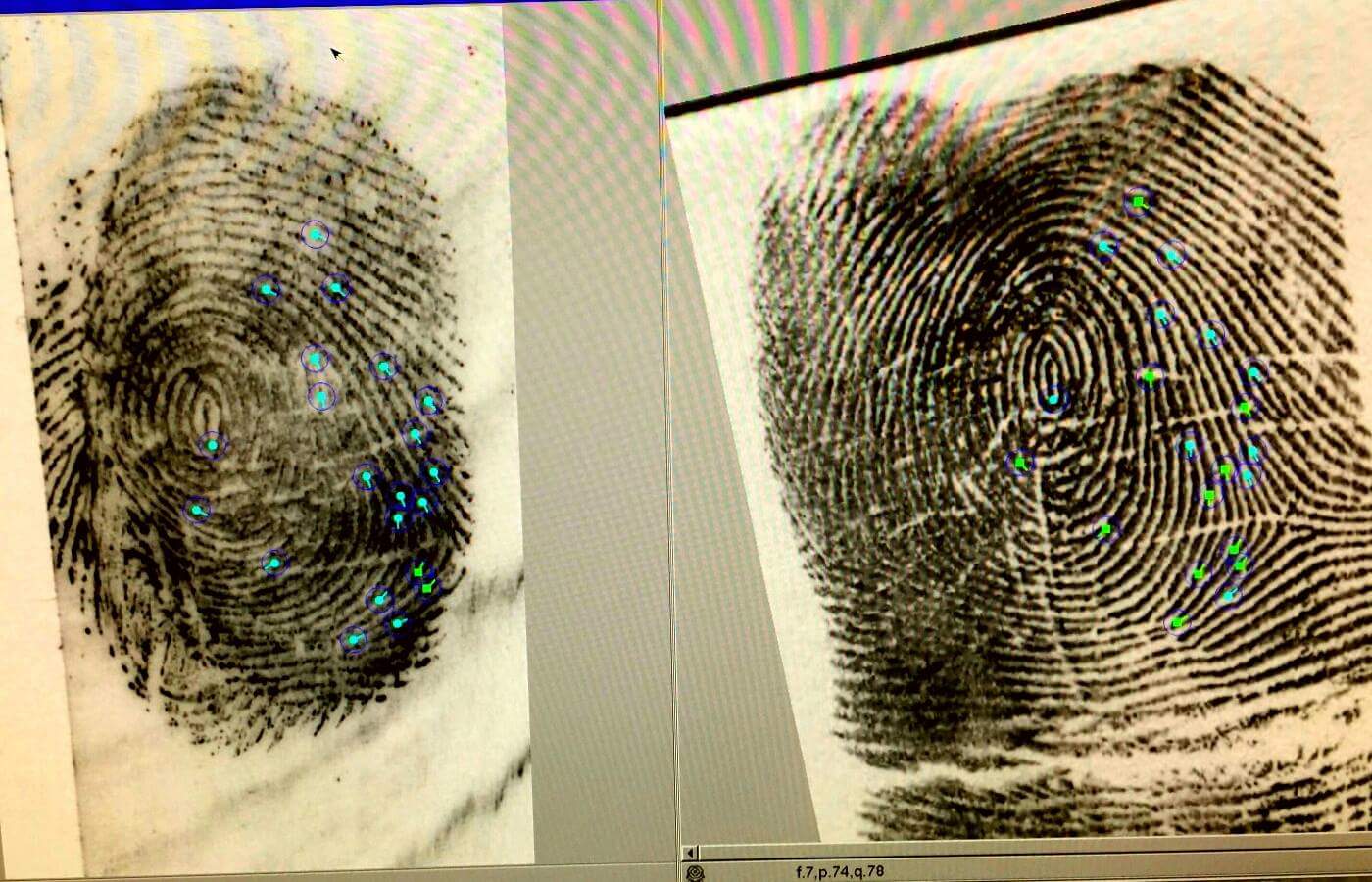   Fingerprint